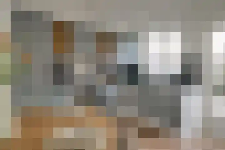 Groef 12 Hoorn thumbnail 13