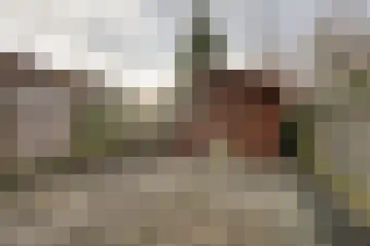 Groef 12 Hoorn thumbnail 18