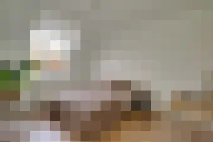 Groef 12 Hoorn thumbnail 23