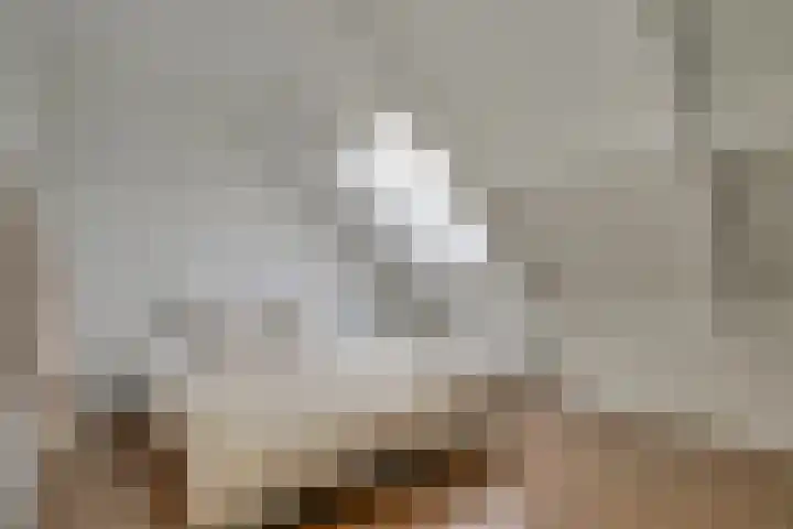 Groef 12 Hoorn thumbnail 26