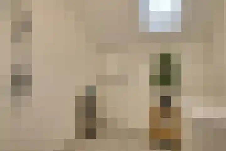 Groef 12 Hoorn thumbnail 29