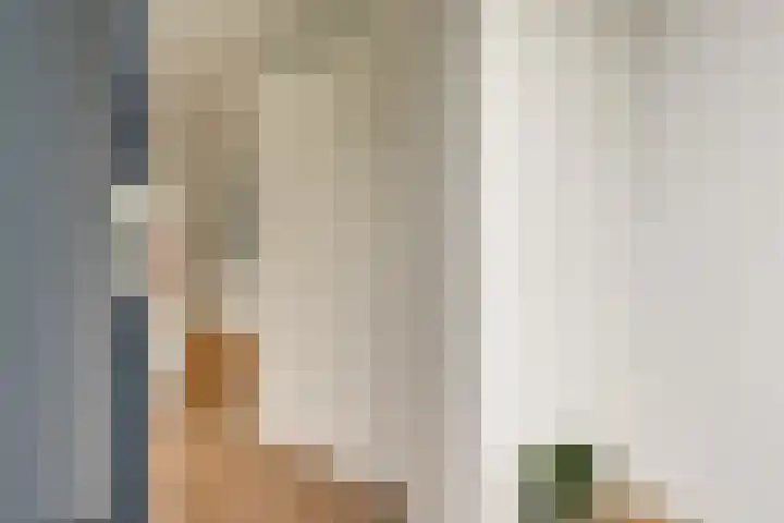 Groef 12 Hoorn thumbnail 5