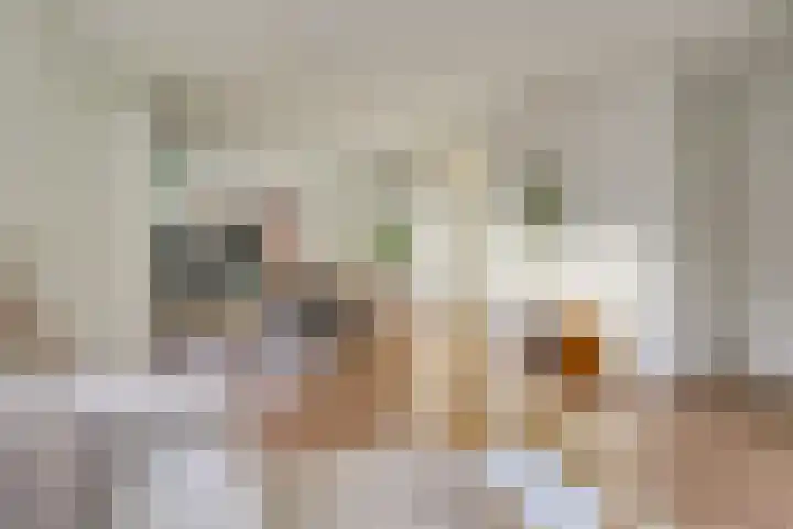 Groef 12 Hoorn thumbnail 6