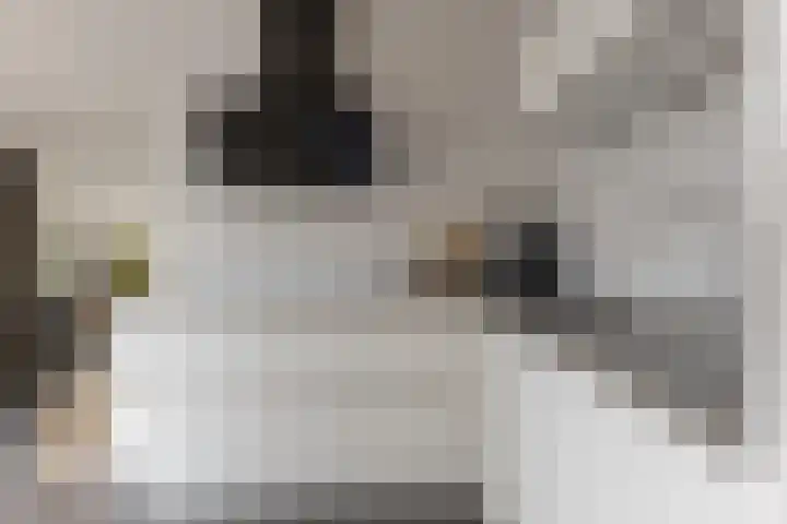Groefmaat 17 Westerbork thumbnail 22