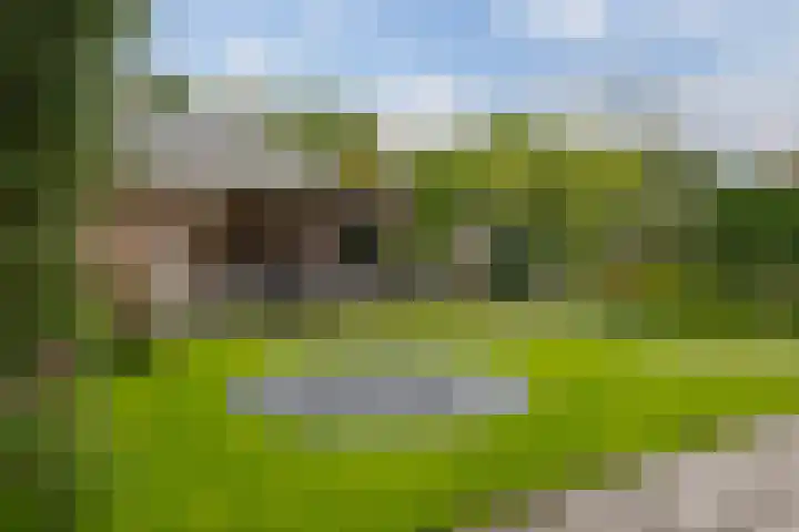 Groefmaat 17 Westerbork thumbnail 4