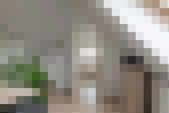 Groefmaat 17 Westerbork thumbnail 44