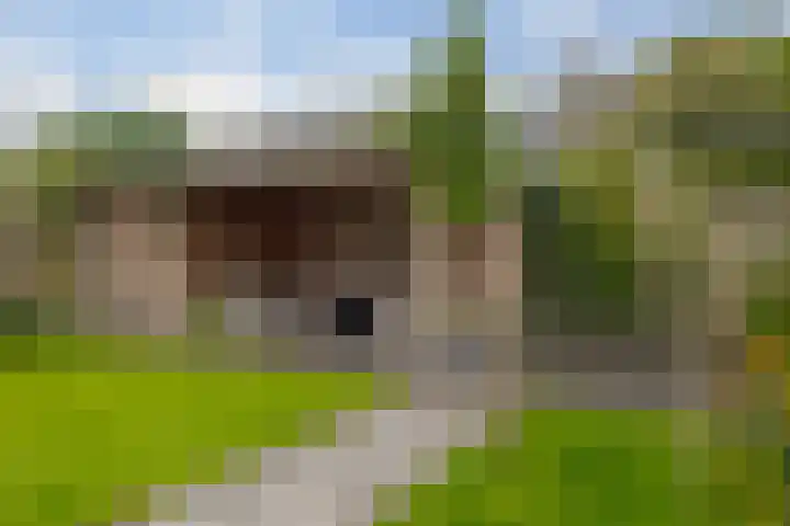Groefmaat 17 Westerbork thumbnail 52