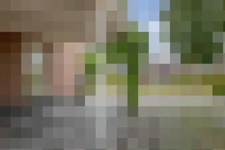 Groefmaat 17 Westerbork thumbnail 7