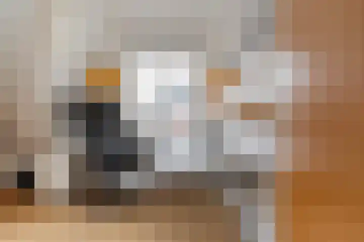Groefmaat 2 Westerbork thumbnail 26