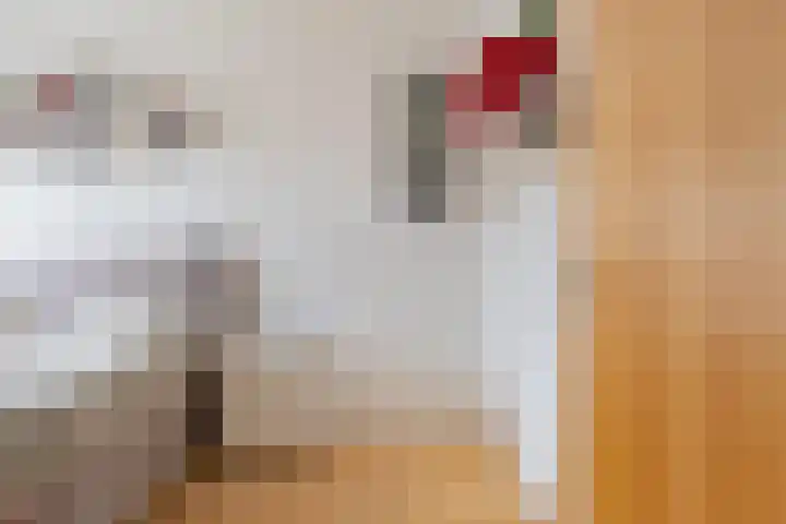 Groefmaat 2 Westerbork thumbnail 30