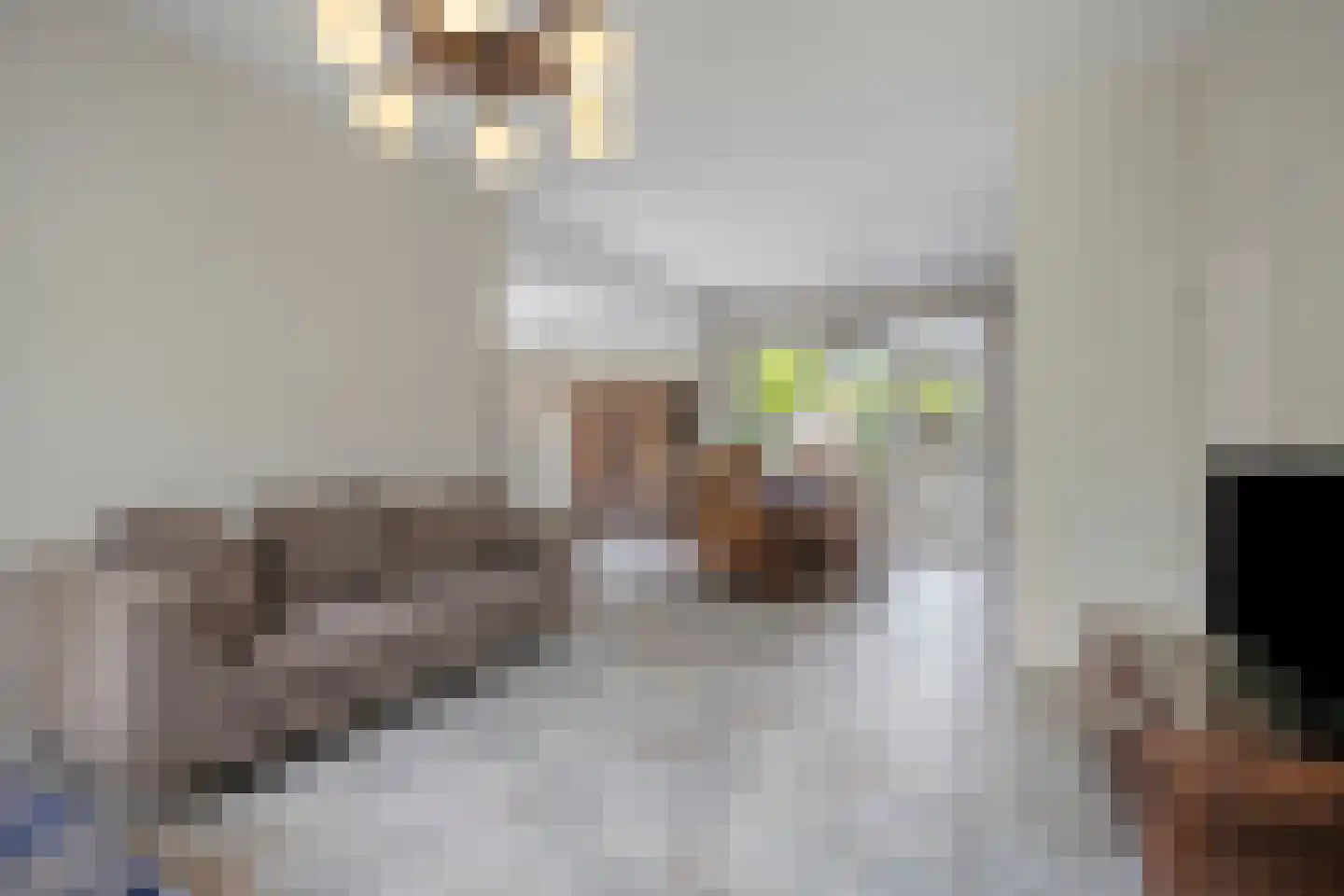 Groelslaan 16 Waalre thumbnail 13