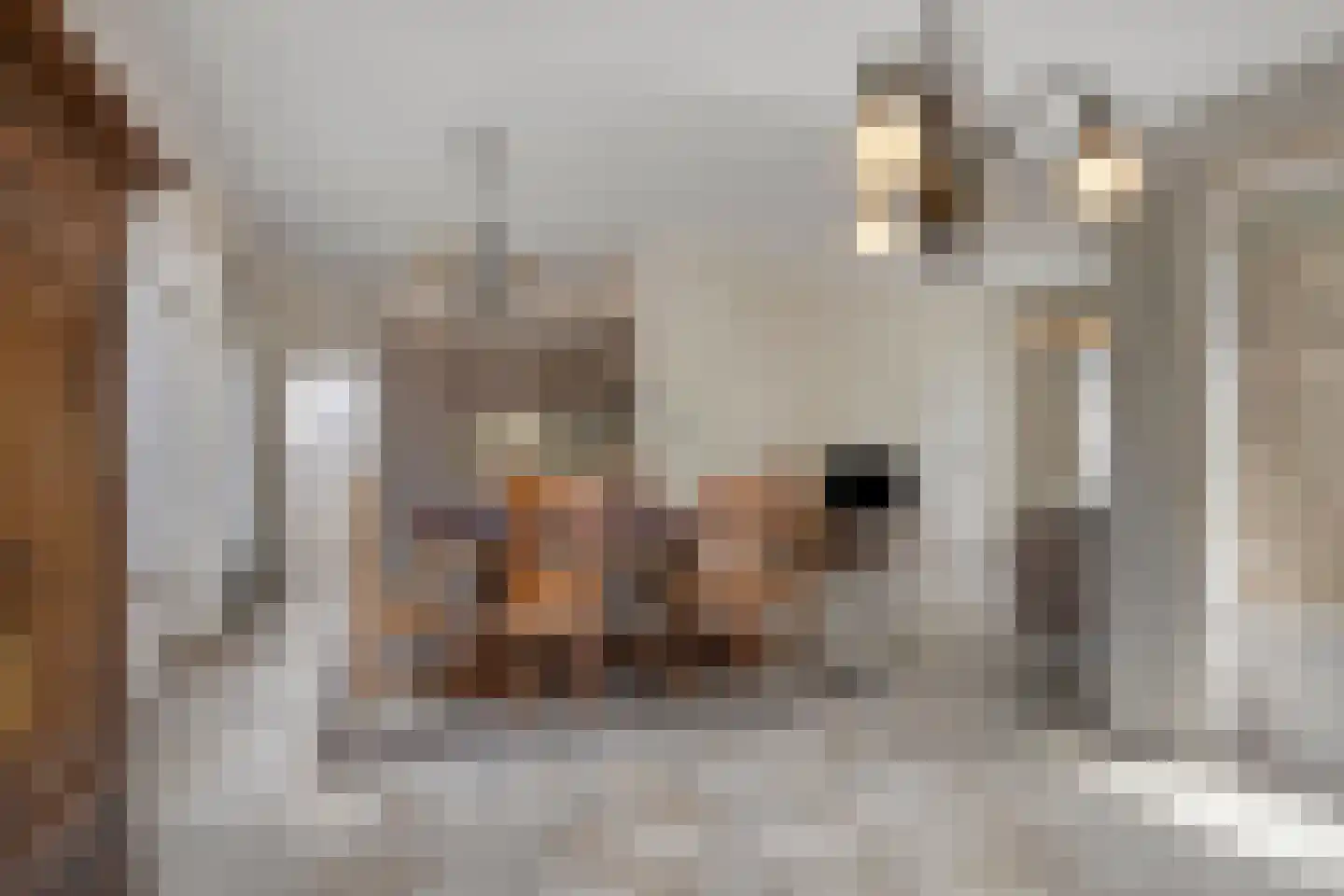 Groelslaan 16 Waalre thumbnail 16