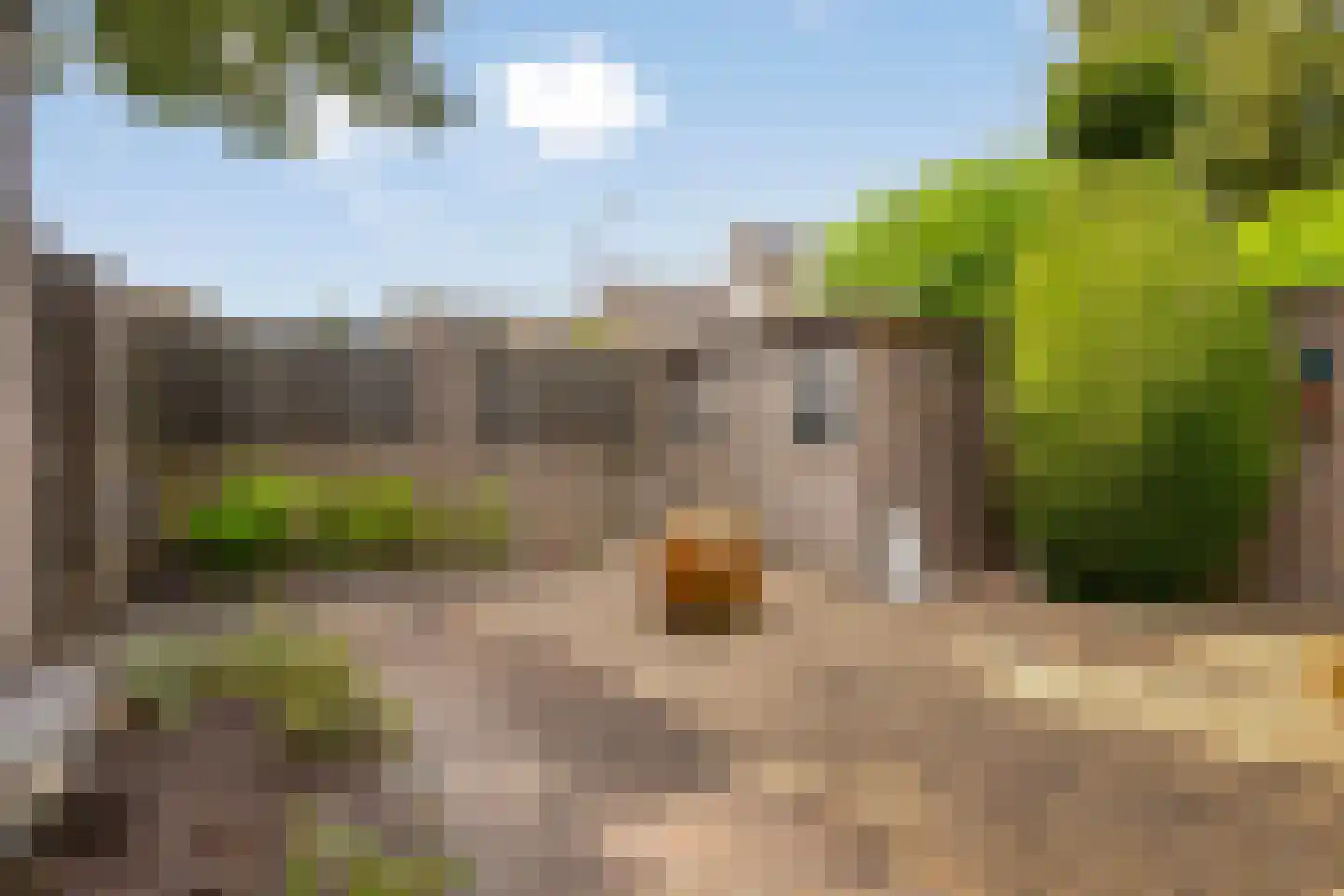 Groelslaan 16 Waalre thumbnail 34