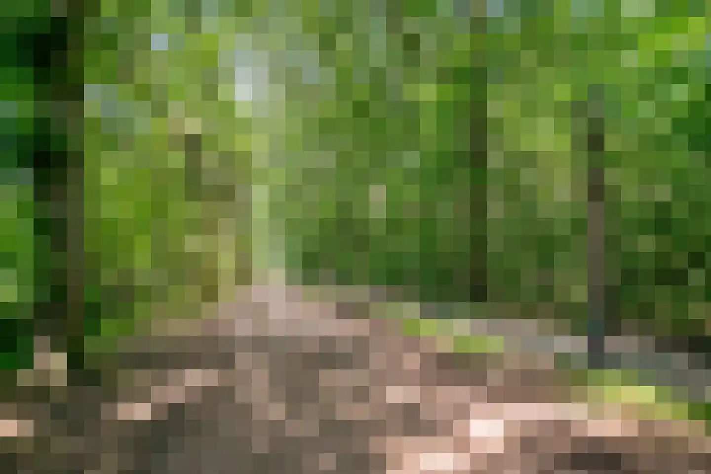 Groelslaan 16 Waalre thumbnail 37