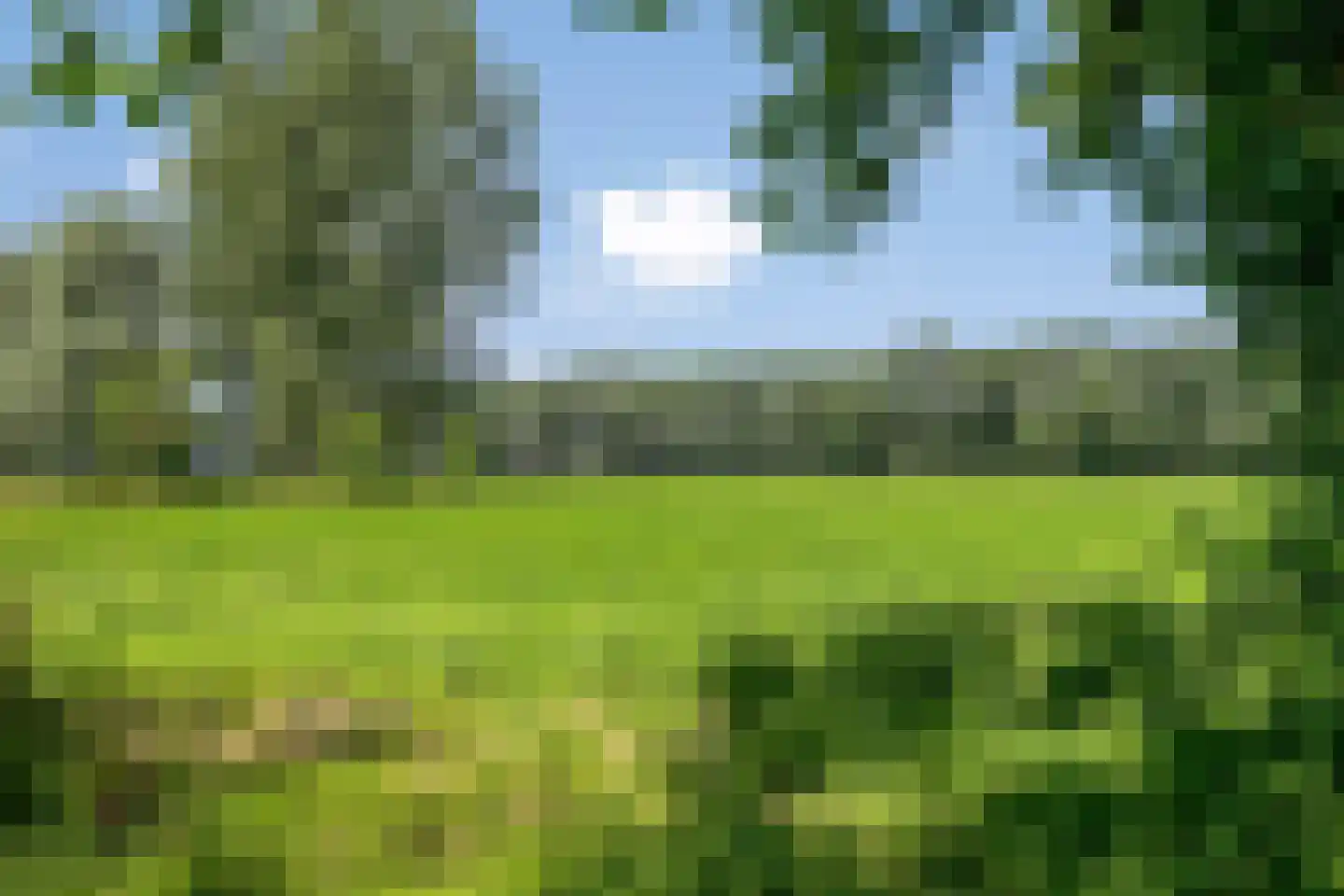 Groelslaan 16 Waalre thumbnail 38