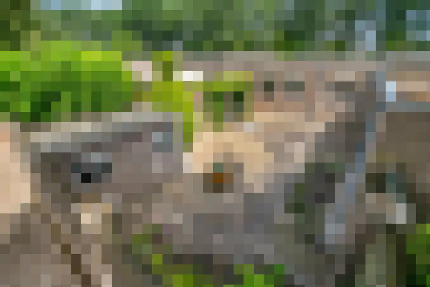 Groelslaan 16 Waalre thumbnail 40