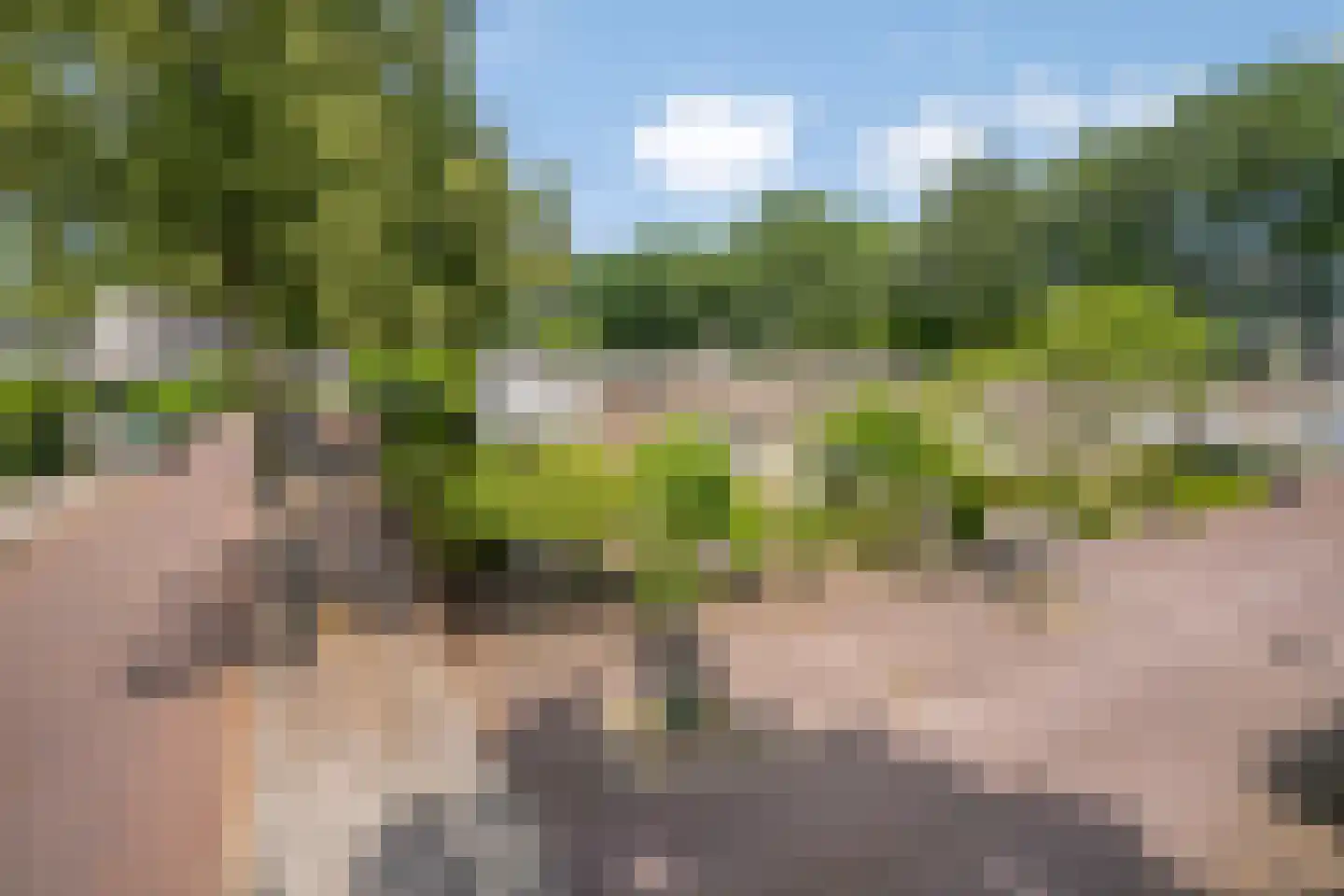 Groelslaan 16 Waalre thumbnail 43