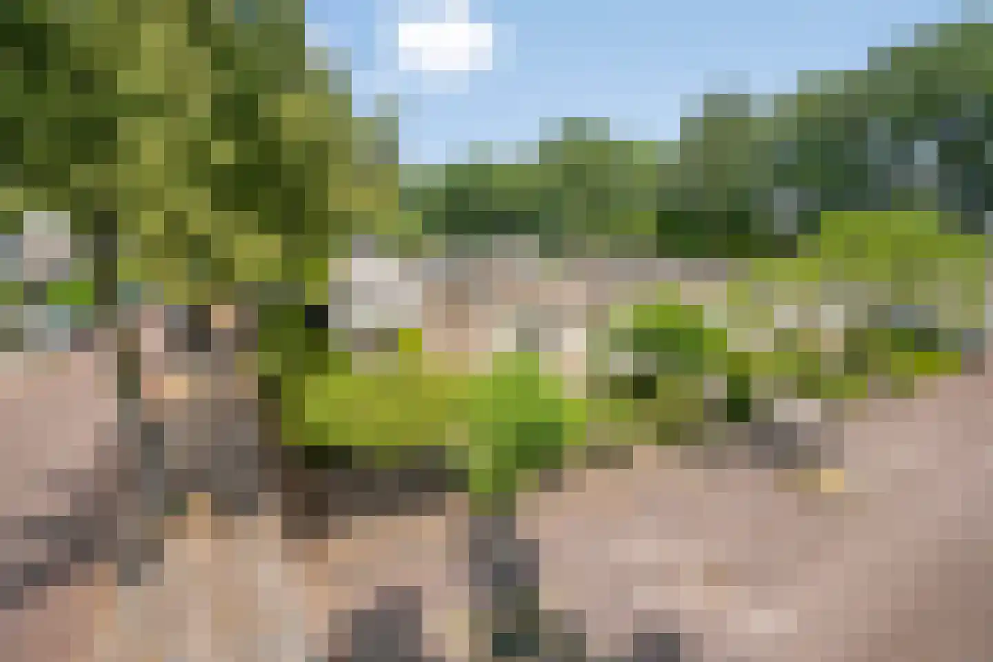 Groelslaan 16 Waalre thumbnail 7