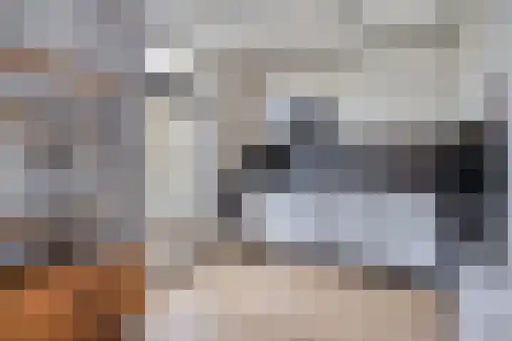 Groelslaan 17 Waalre thumbnail 11