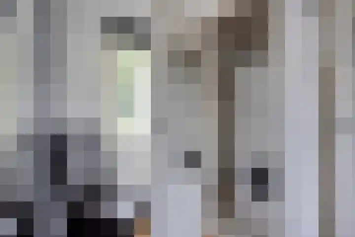 Groelslaan 17 Waalre thumbnail 17
