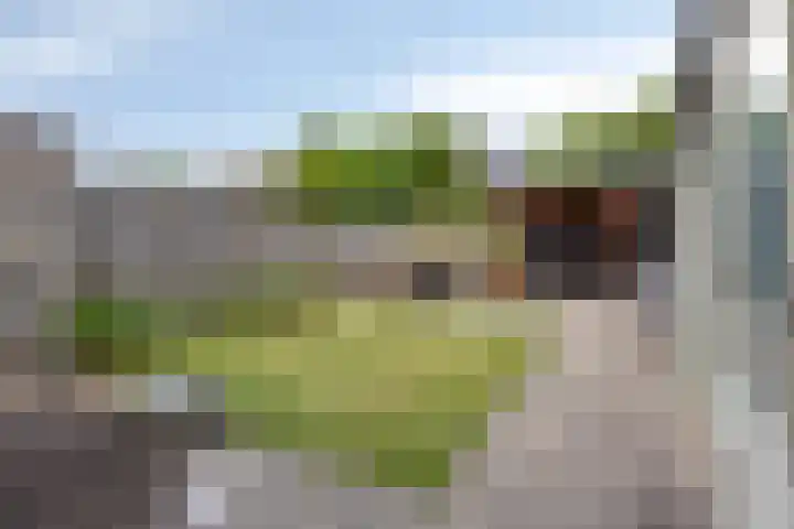 Groelslaan 17 Waalre thumbnail 27