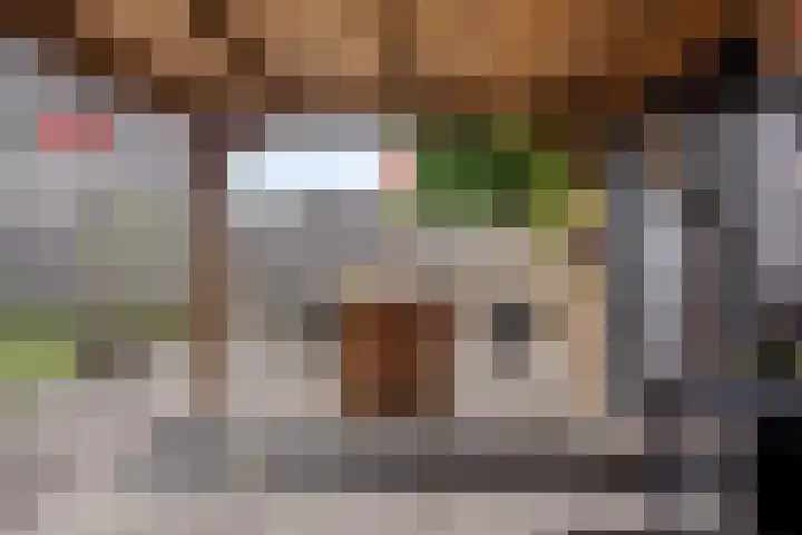 Groelslaan 17 Waalre thumbnail 33
