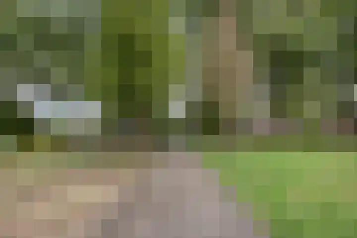 Groelslaan 17 Waalre thumbnail 35