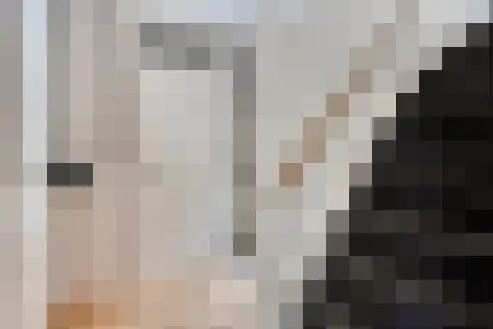 Groelslaan 17 Waalre thumbnail 5