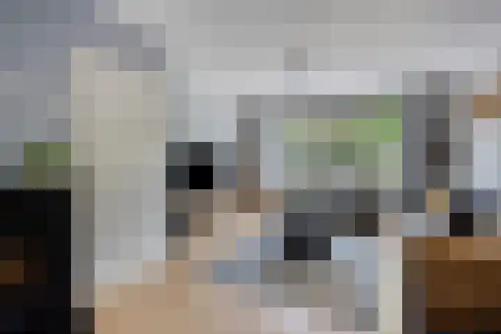 Groelslaan 17 Waalre thumbnail 6