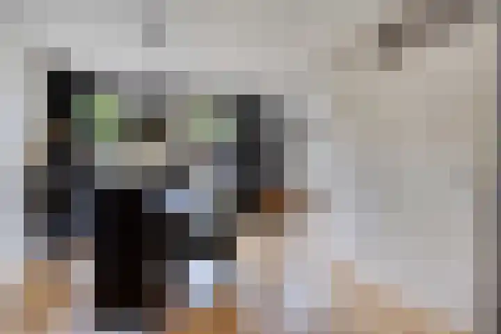 Groelslaan 17 Waalre thumbnail 9