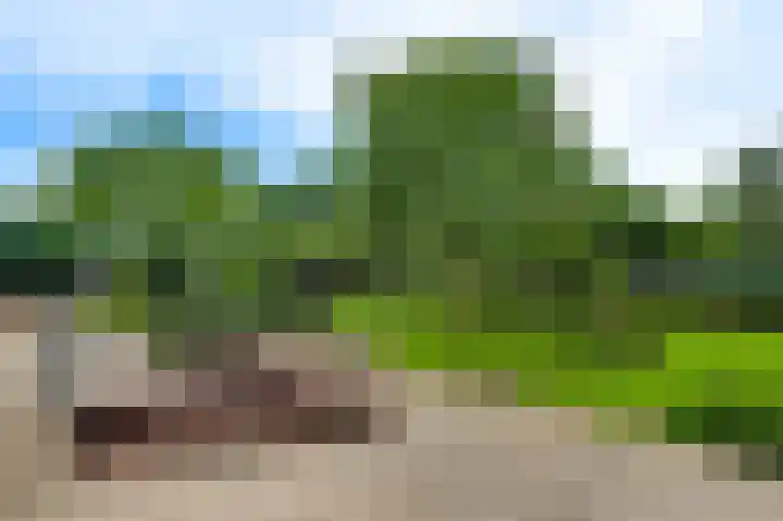 Groelsstraat 6 Hunsel thumbnail 22