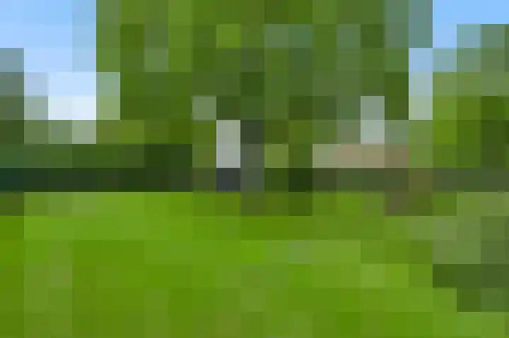 Groelsstraat 6 Hunsel thumbnail 23
