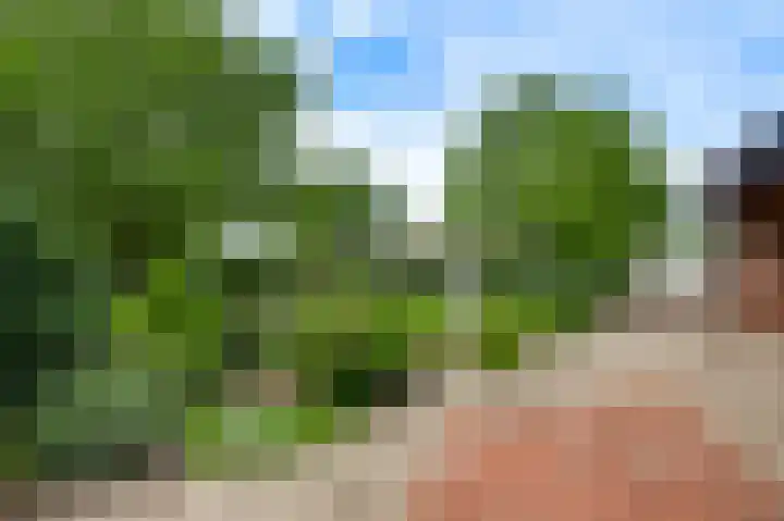 Groelsstraat 6 Hunsel thumbnail 24