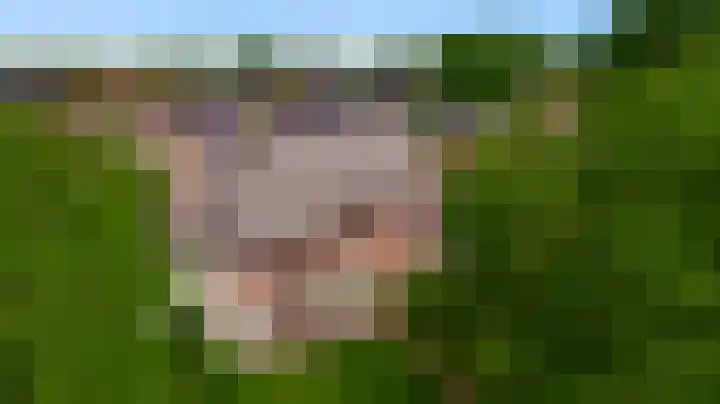 Groelsstraat 6 Hunsel thumbnail 32