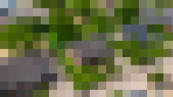 Groelsstraat 6 Hunsel thumbnail 34
