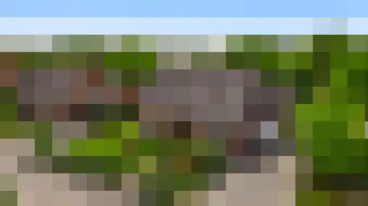 Groelsstraat 6 Hunsel thumbnail 36