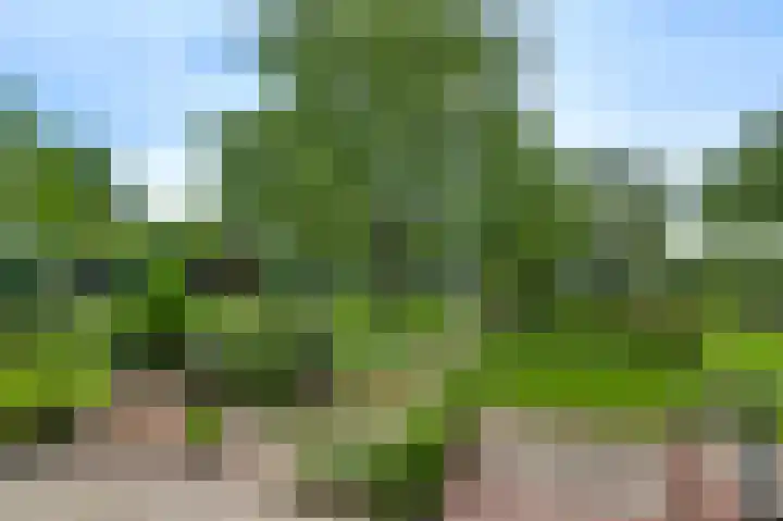Groelsstraat 6 Hunsel thumbnail 4
