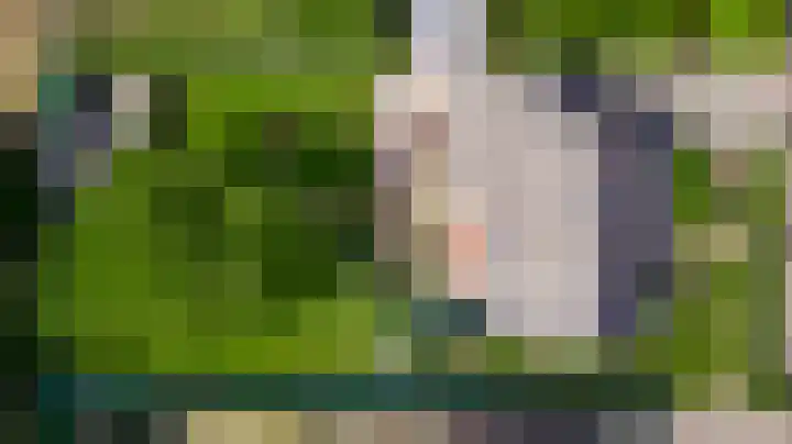 Groelsstraat 6 Hunsel thumbnail 5