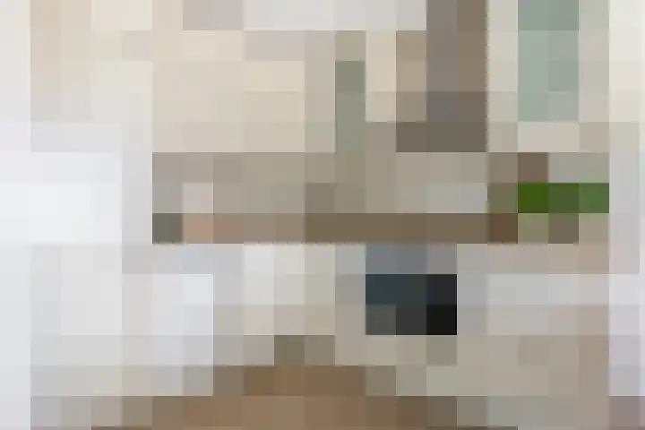 Groen-blauwlaan 160 Zoetermeer thumbnail 11
