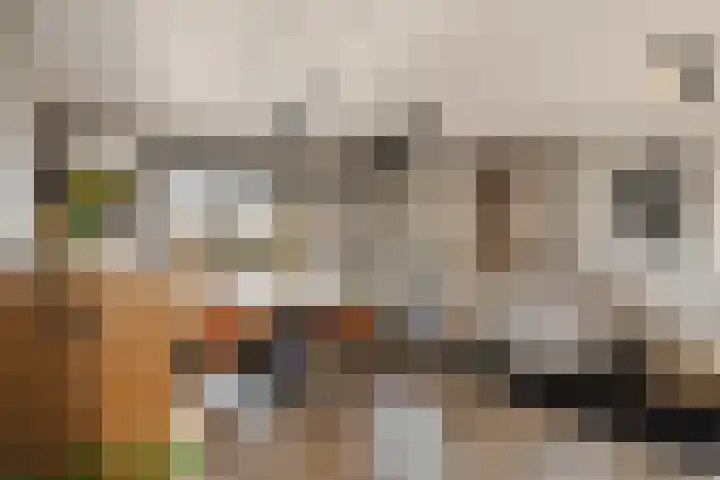 Groen-blauwlaan 164 Zoetermeer thumbnail 18
