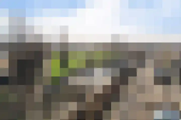 Groen-blauwlaan 164 Zoetermeer thumbnail 7
