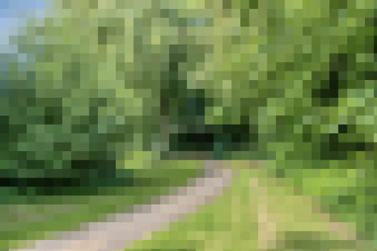 Groen-blauwlaan 176 Zoetermeer thumbnail 35