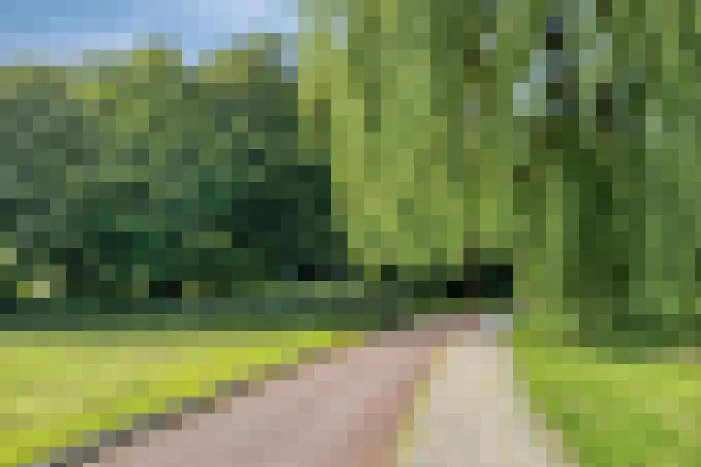 Groen-blauwlaan 176 Zoetermeer thumbnail 36