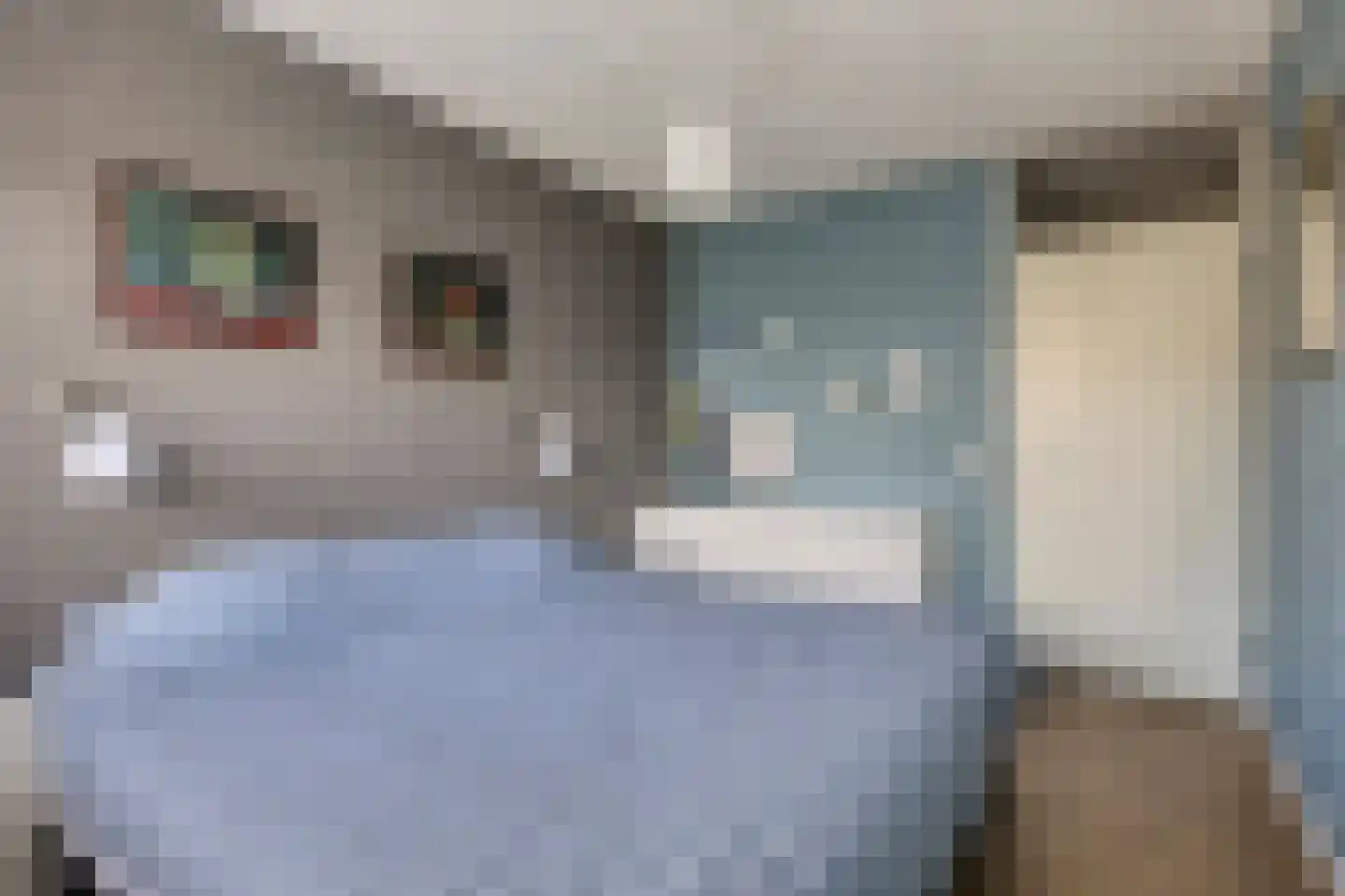 Groen-blauwlaan 185 Zoetermeer thumbnail 25