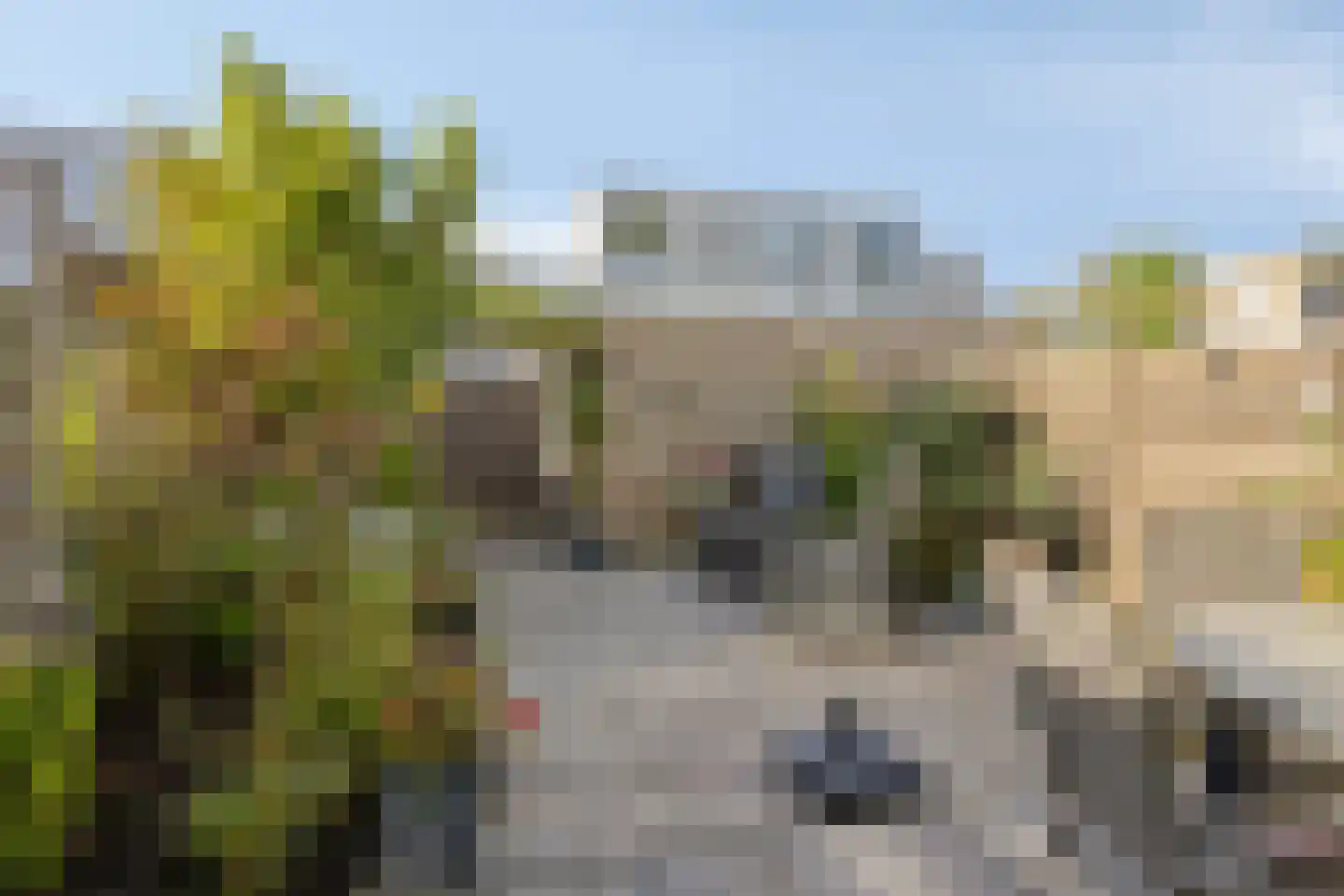 Groen-blauwlaan 185 Zoetermeer thumbnail 4