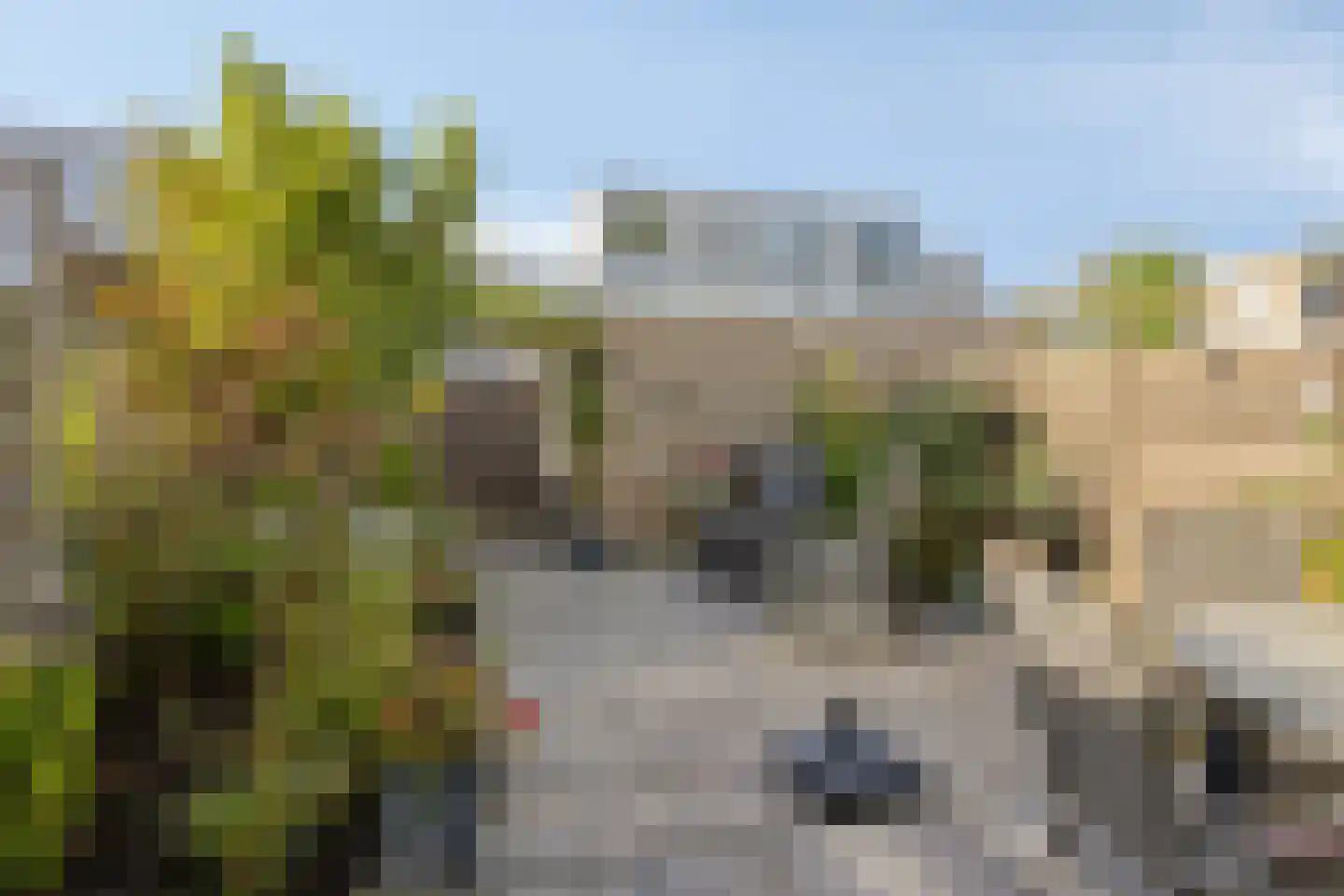 Groen-blauwlaan 185 Zoetermeer thumbnail 48