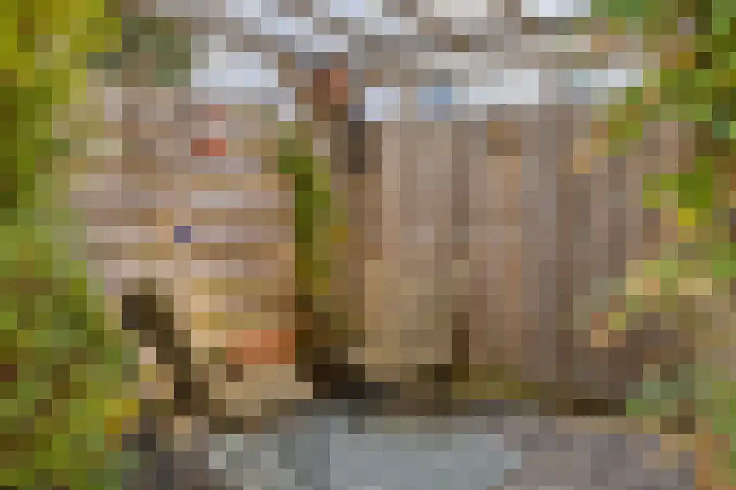 Groen-blauwlaan 185 Zoetermeer thumbnail 51