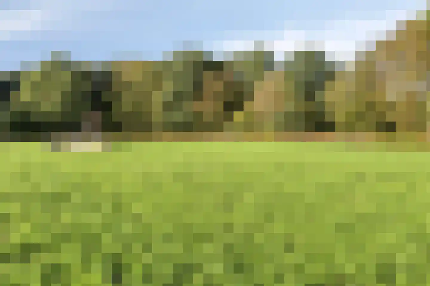 Groen-blauwlaan 185 Zoetermeer thumbnail 55