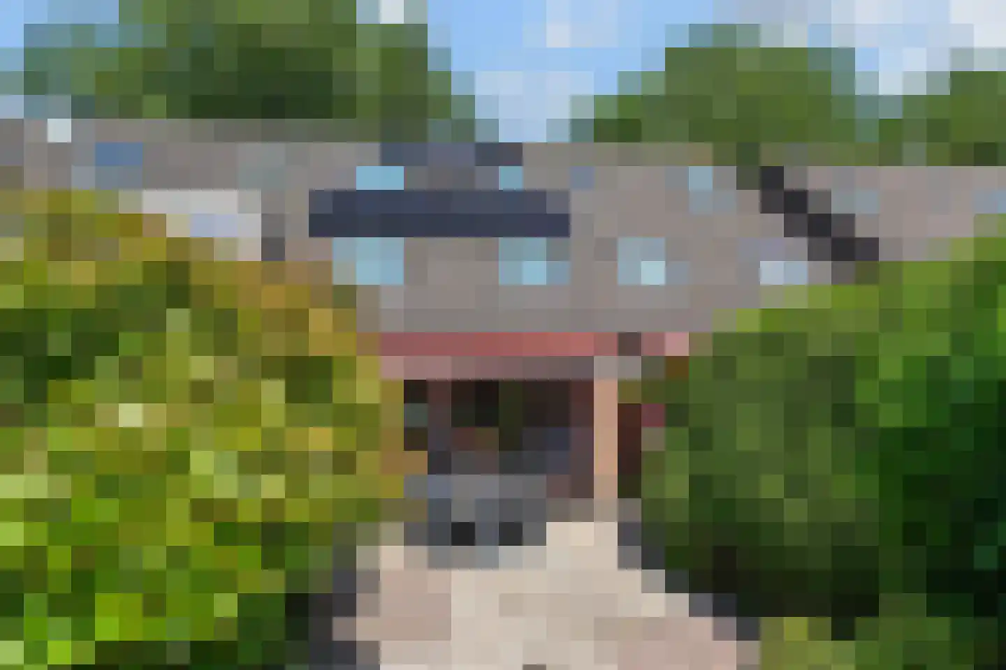 Groen-blauwlaan 70 Zoetermeer thumbnail 26