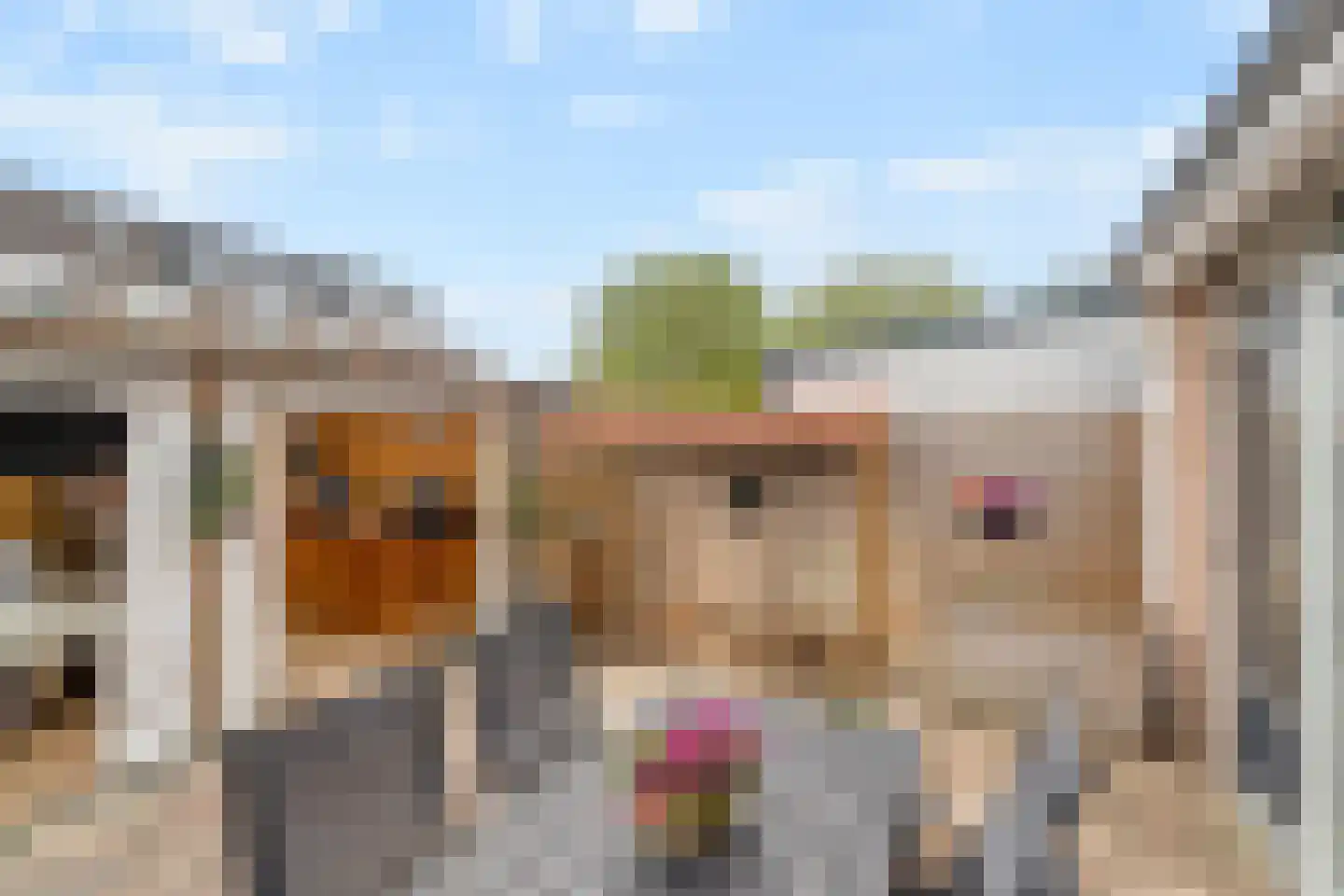 Groen-blauwlaan 74 Zoetermeer thumbnail 12